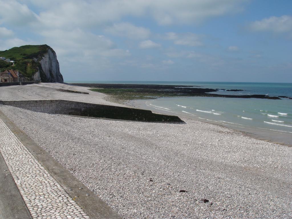Le Clos Des Camelias Veulettes-sur-Mer Luaran gambar